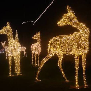 Cardiff Christmas Market 2026