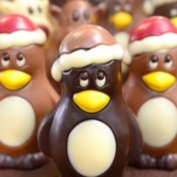 ChocFest