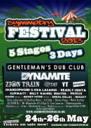 Symmetry Festival 2013