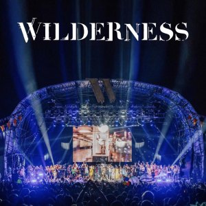 Wilderness Festival  logo
